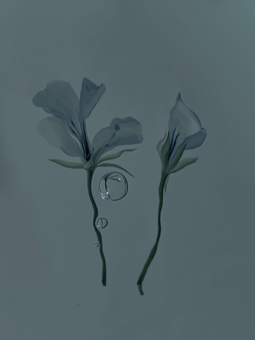 Photo : Candice Milon