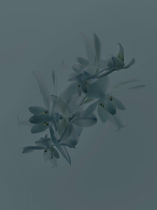 Photo : Candice Milon