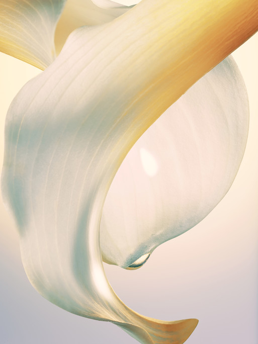 Photo : Candice Milon