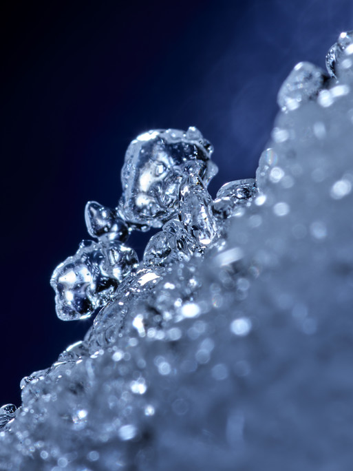 Photo : Coline Le Corre