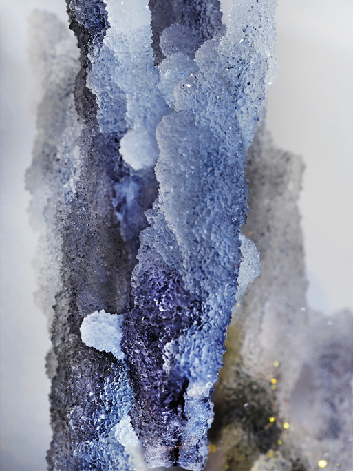 Photo : Candice Milon