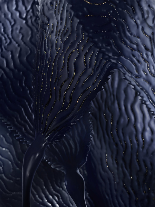 Photo : Coline Le Corre