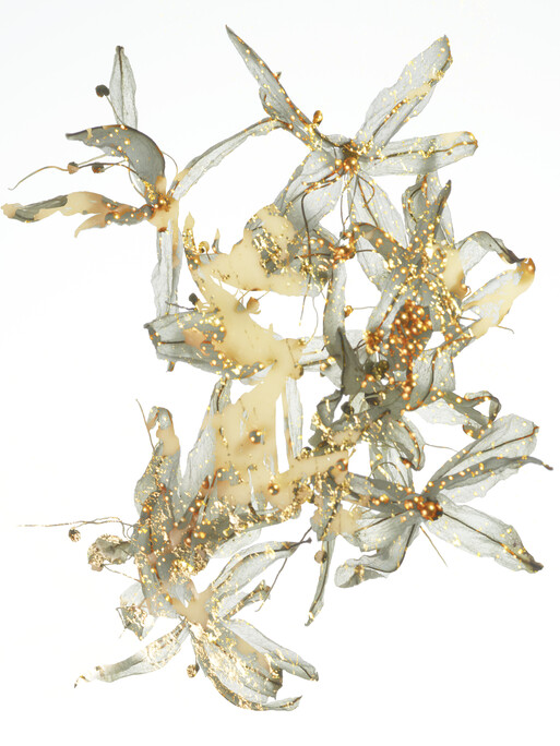 Photo : Candice Milon