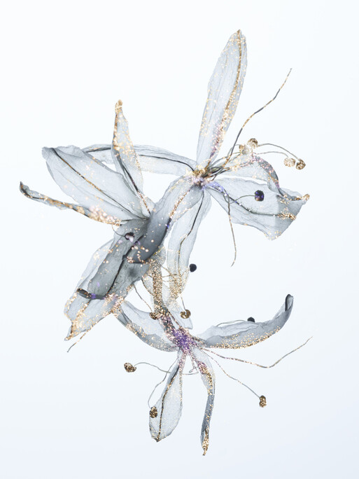 Photo : Candice Milon