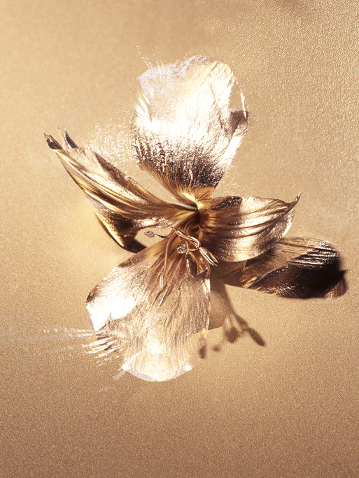 Photo : Candice Milon