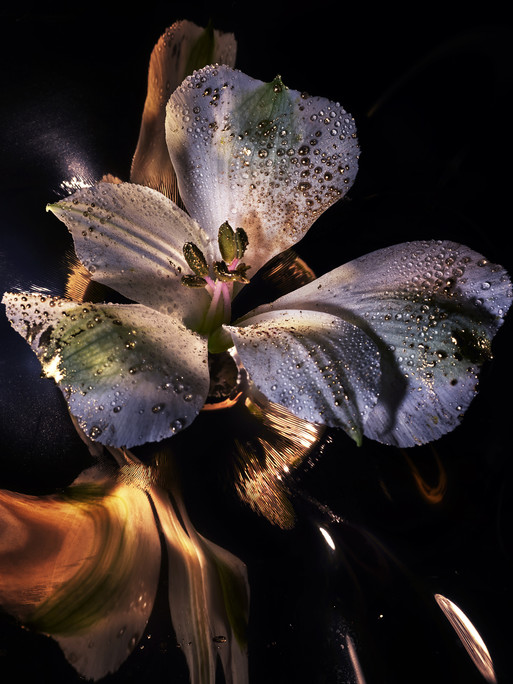 Photo : Candice Milon