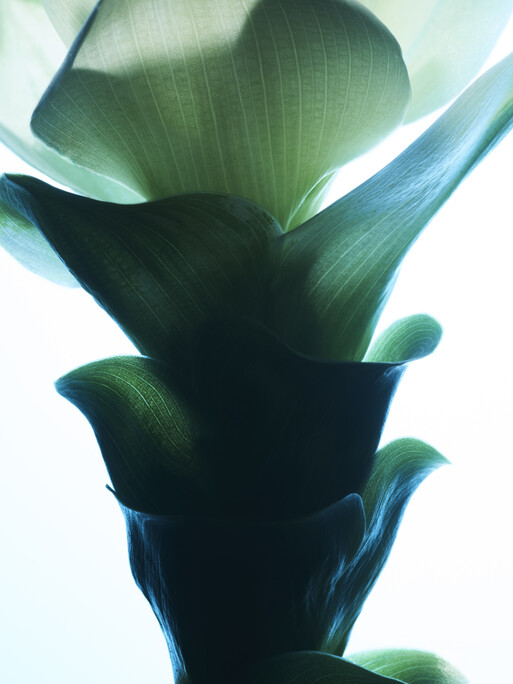 Photo : Candice Milon