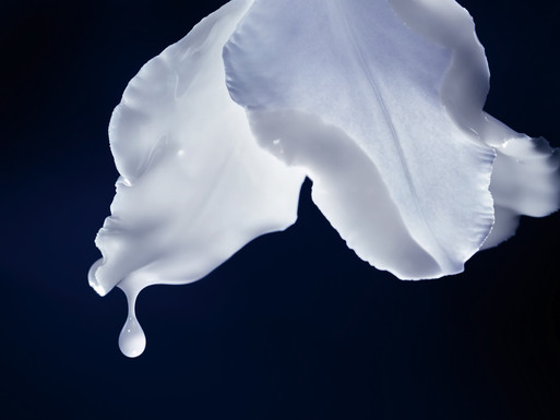 Photo : Candice Milon