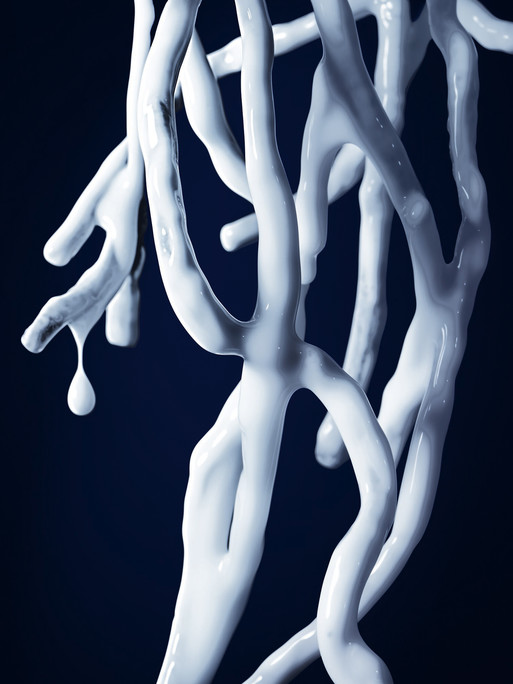 Photo : Candice Milon