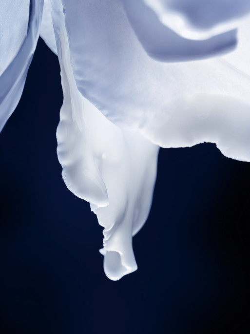 Photo : Candice Milon