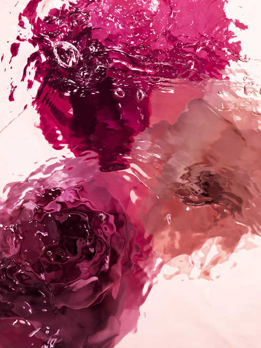 Photo : Candice Milon