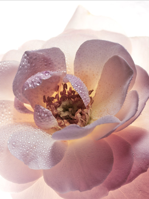 Photo : Candice Milon