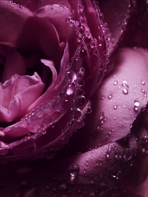 Photo : Candice Milon