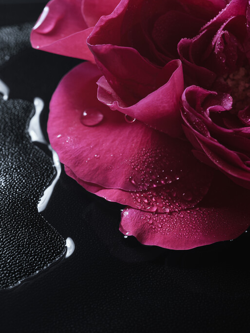 Photo : Candice Milon