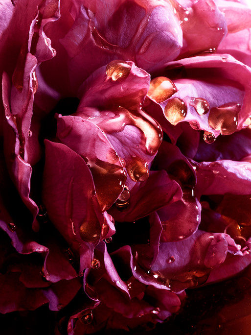 Photo : Candice Milon