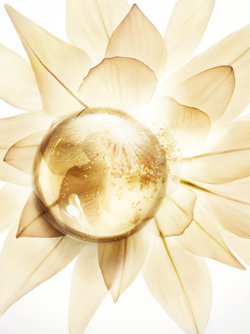 Photo : Candice Milon