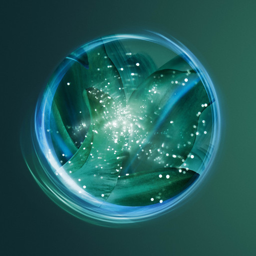 Photo : Candice Milon