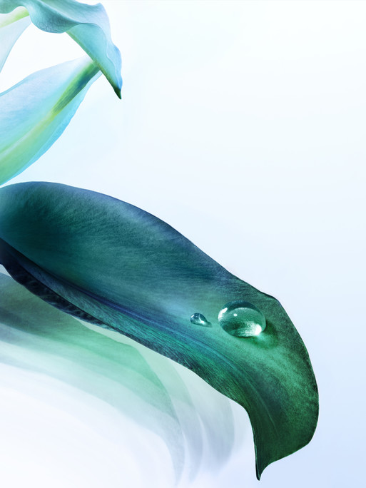 Photo : Candice Milon