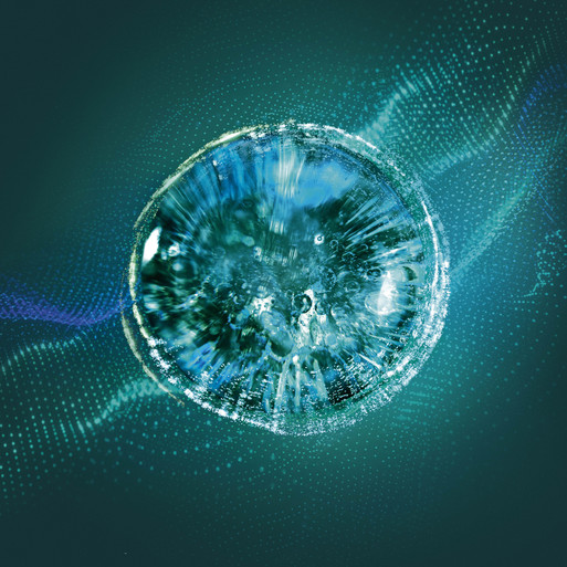 Photo : Candice Milon