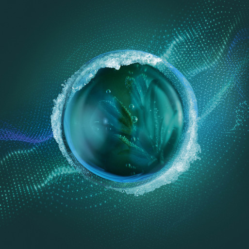 Photo : Candice Milon