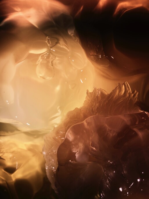 Photo : Candice Milon