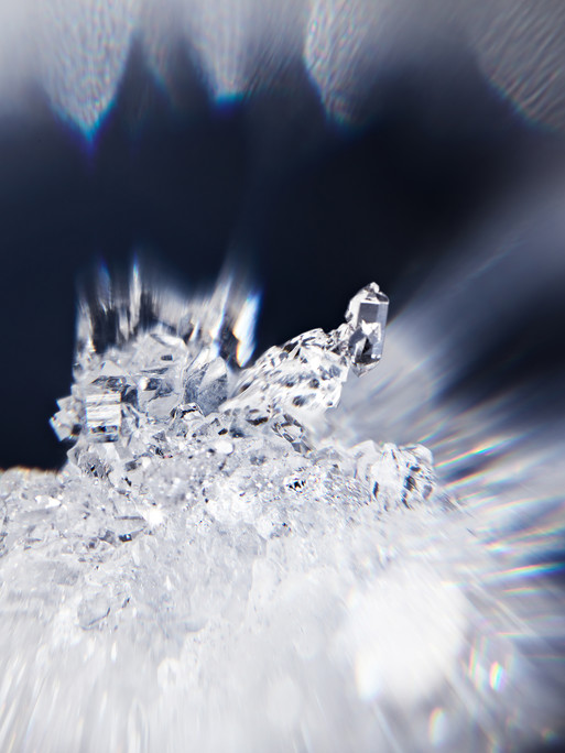 Photo : Coline Le Corre