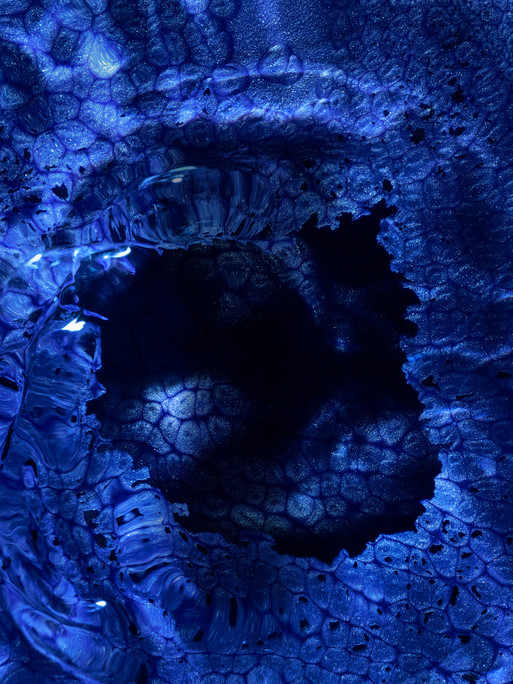 Photographer Candice Milon