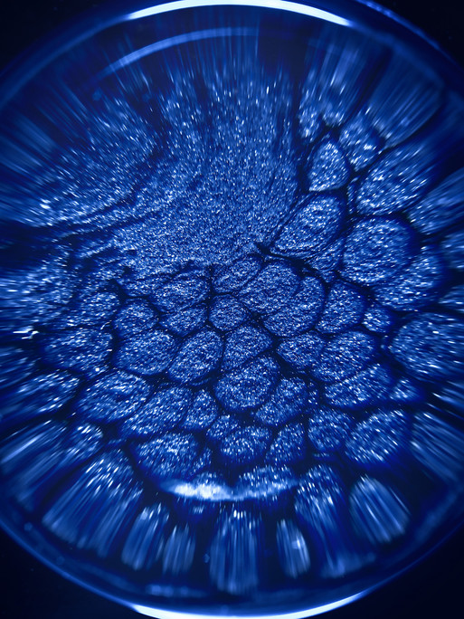 Photo : Coline Le Corre