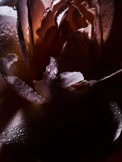 Photo : Candice Milon