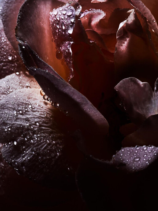 Photo : Candice Milon