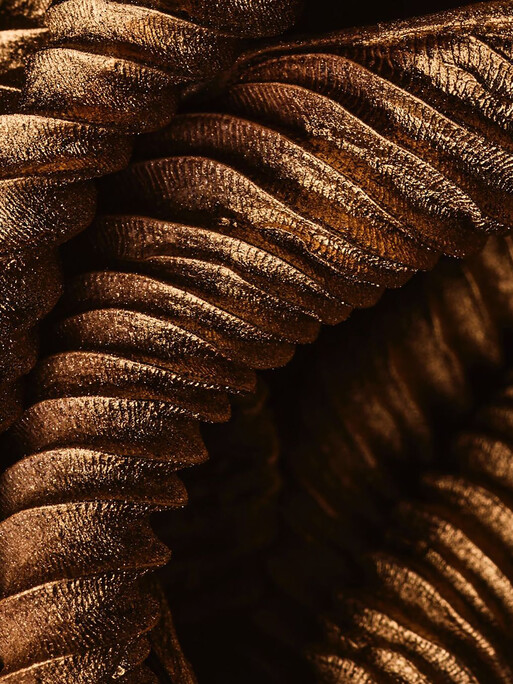 Photo : Candice Milon