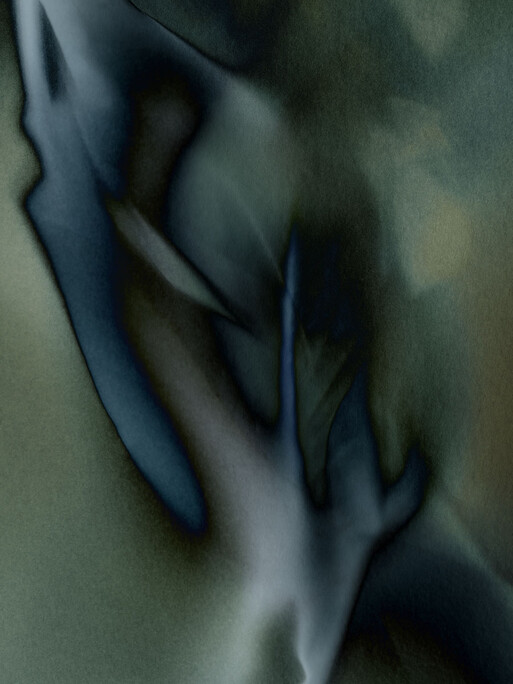 Photo : Candice Milon