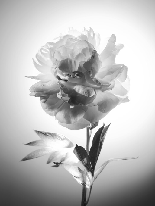 Photo : Candice Milon