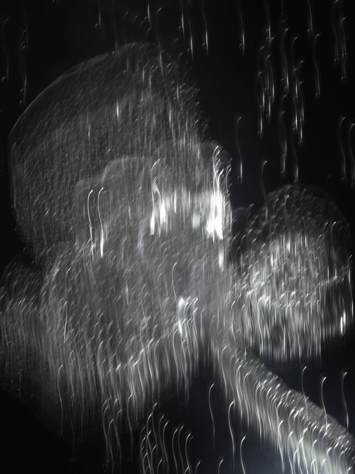 Photo : Candice Milon