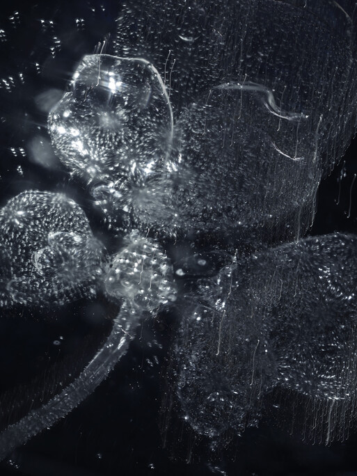 Photo : Candice Milon