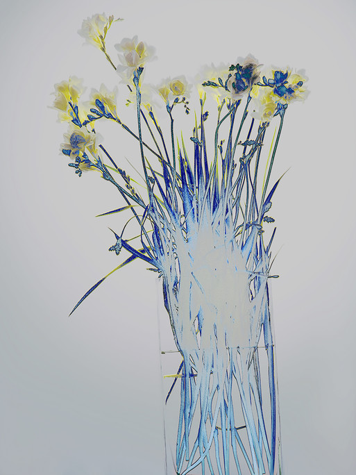 Photo : Candice Milon