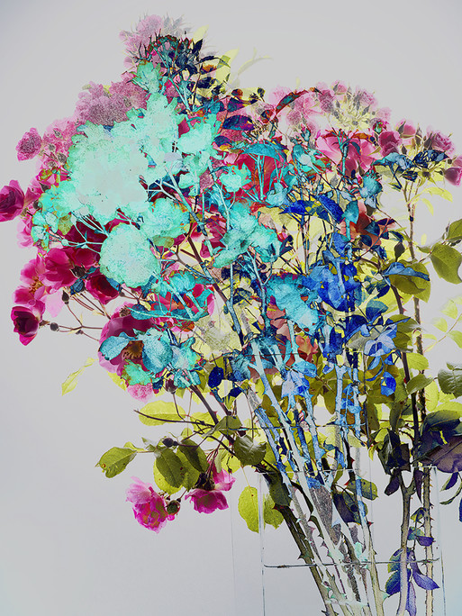 Photo : Candice Milon