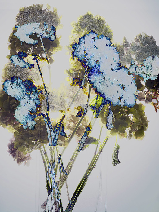 Photo : Candice Milon