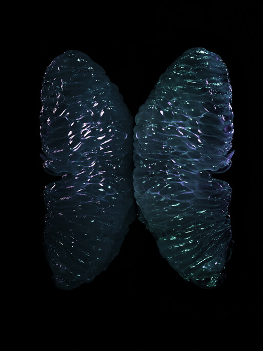 Photo : Candice Milon