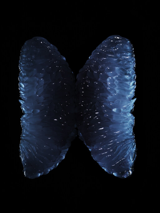 Photo : Candice Milon