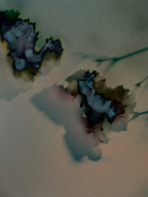 Photo : Candice Milon