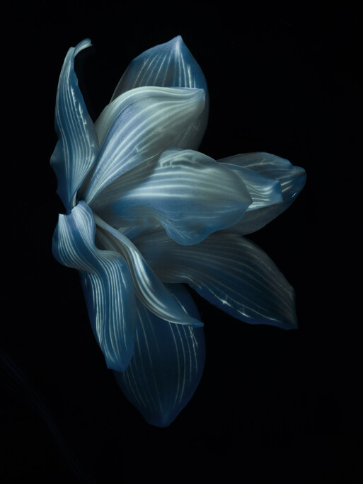 Photo : Candice Milon