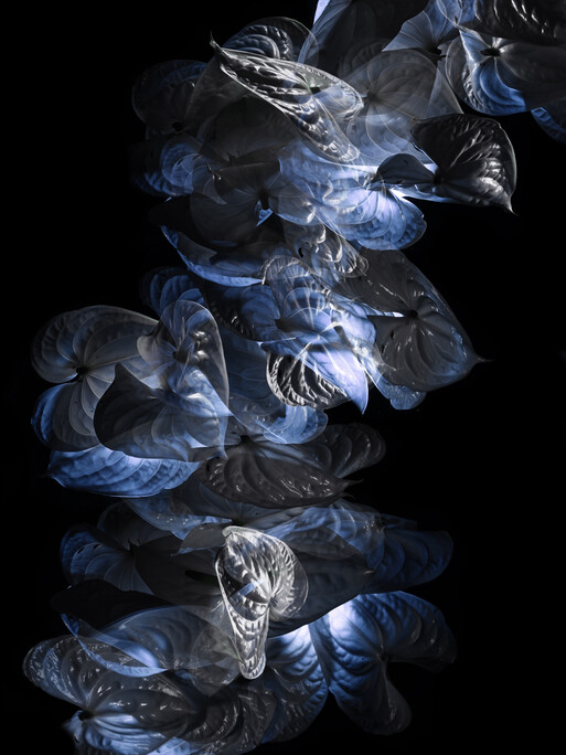 Photo : Candice Milon