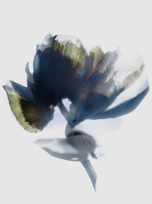 Photo : Candice Milon