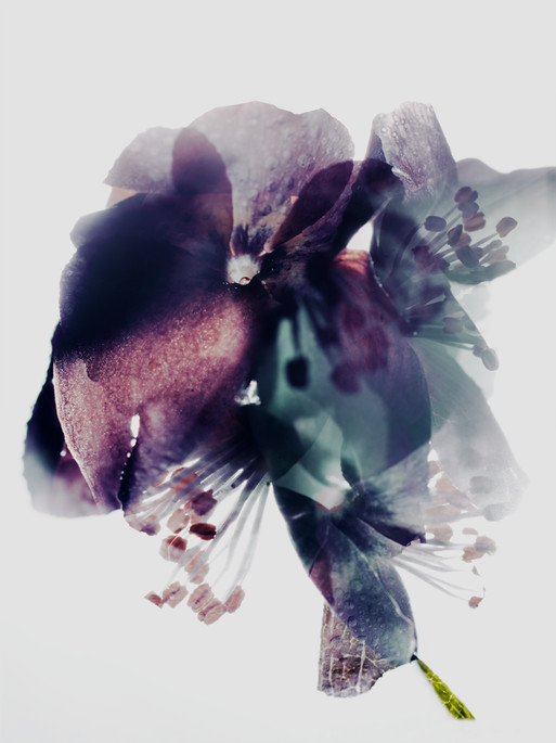 Photo : Candice Milon