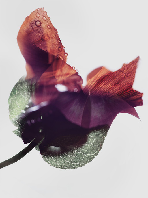 Photo : Candice Milon