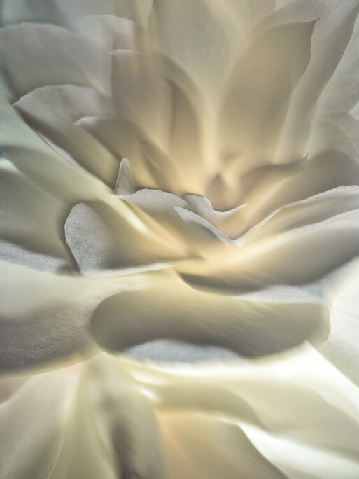 Photo : Candice Milon