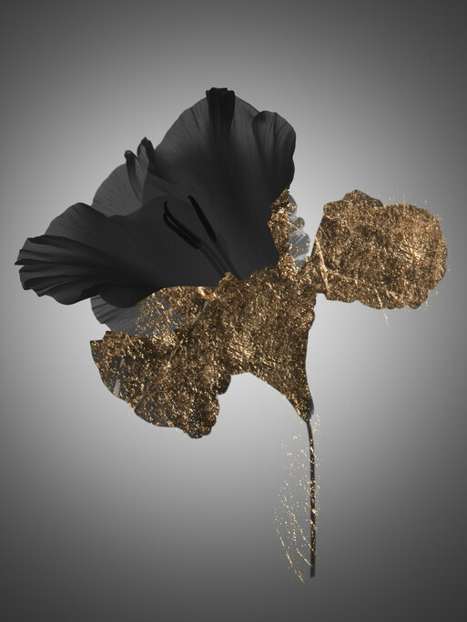 Photo : Candice Milon