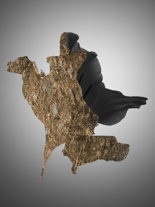 Photo : Candice Milon