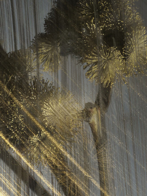 Photo : Candice Milon